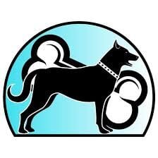 KÖPEK KURU MAMALARI